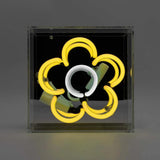Neon luminoso in vetro "Daisy" giallo con box acrilico