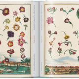 Libro TASCHEN J. C. Volkamer. Il Libro degli Agrumi – 45a ed.
