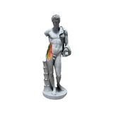 DANIELE FORTUNA - UNDER GRAY COLORMINATION 1/1