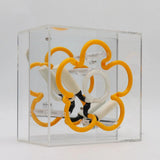 Neon luminoso in vetro "Daisy" giallo con box acrilico