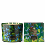 Candela profumata 1450g VILA HERMANOS Blue Butterfly in vetro 5 stoppini