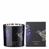 Candela profumata Colibrì 1450g VILA HERMANOS