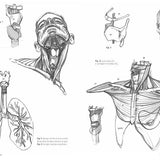 Anatomia artistica – L'Ippocampo Edizioni