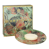 ORTIGIA SICILIA - FICO D'INDIA PIATTINO VETRO CON SAPONE