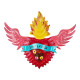 PINK PAMPAS - HAPPY FLYING CORAZON