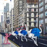 ANGELO ACCARDI - BLEND 2025 1/1