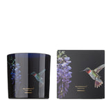Candela profumata Hummingbird 650g VILA HERMANOS