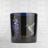 Candela profumata Hummingbird 650g VILA HERMANOS