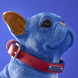 Figura decorativa cane Werns Molly Bulldog Francese blu con collare