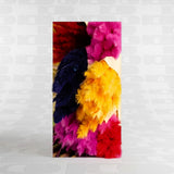 Pampas colorati decorativi 70 cm steli vivaci