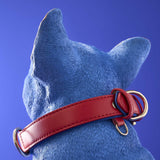 Figura decorativa cane Werns Molly Bulldog Francese blu con collare