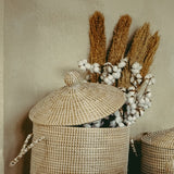 Pampa decorativa naturale 125 cm